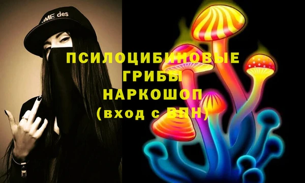 твердый Медногорск