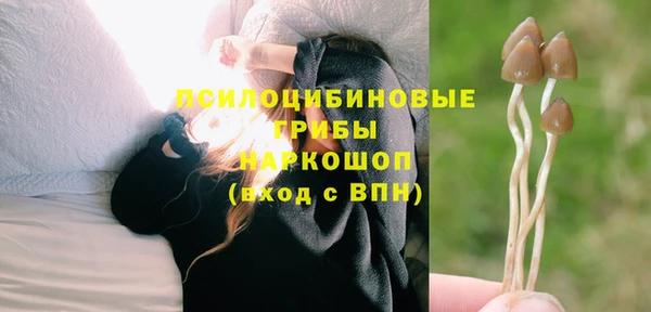 каннабис Михайловка