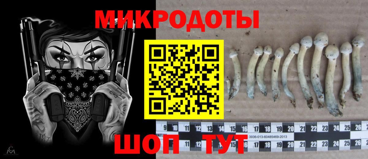 Коммунар  Псилоцибиновые грибы MAGIC MUSHROOMS  Псилоцибиновые грибы GOLDEN TEACHER  Вход с VPN 
