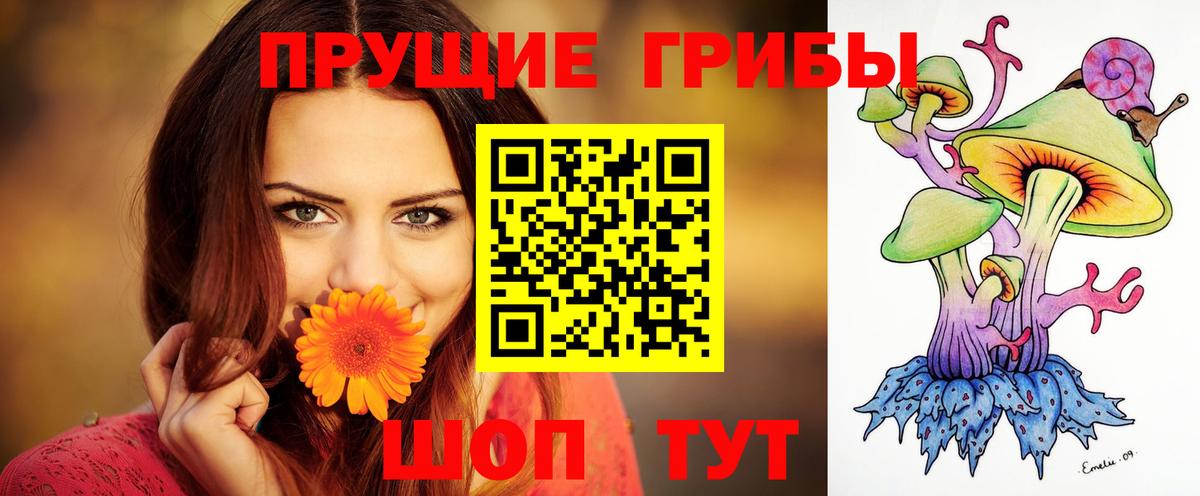 Галлюциногенные грибы MAGIC MUSHROOMS  Галлюциногенные грибы Psilocybine cubensis  Коммунар 